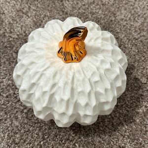 White Textured Resin Pumpkin with changing colors